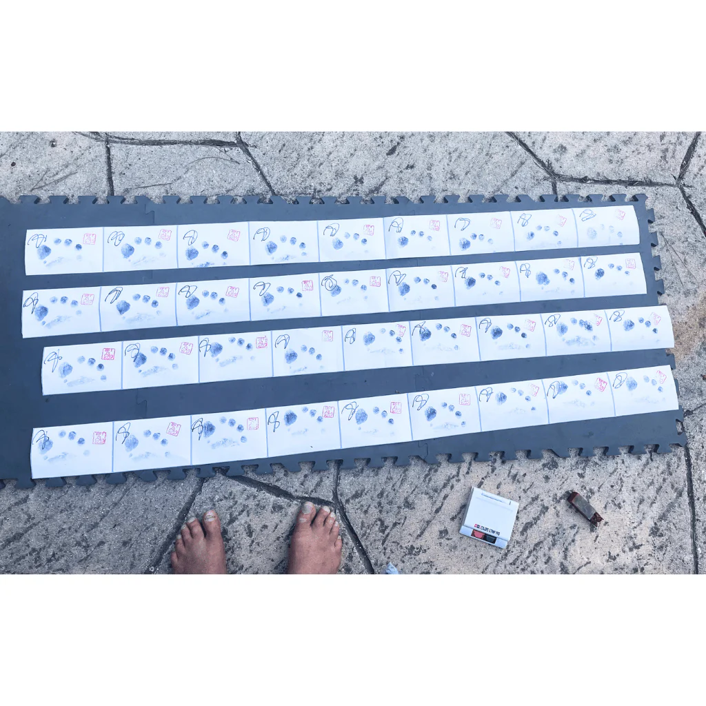 "Born To Run" Book - signed & footprinted by BFT - Image 6