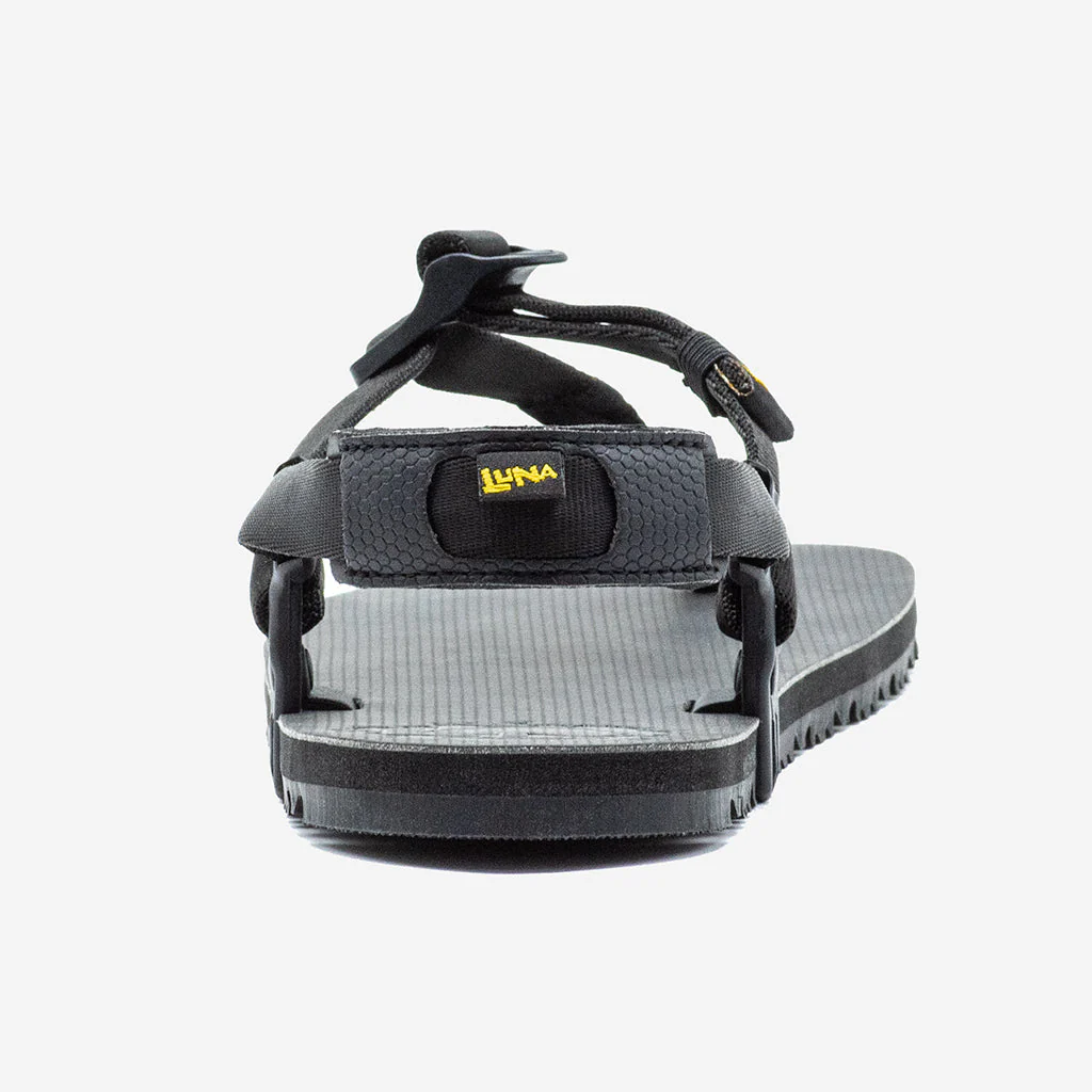 Middle Bear Winged Edition - Image 11