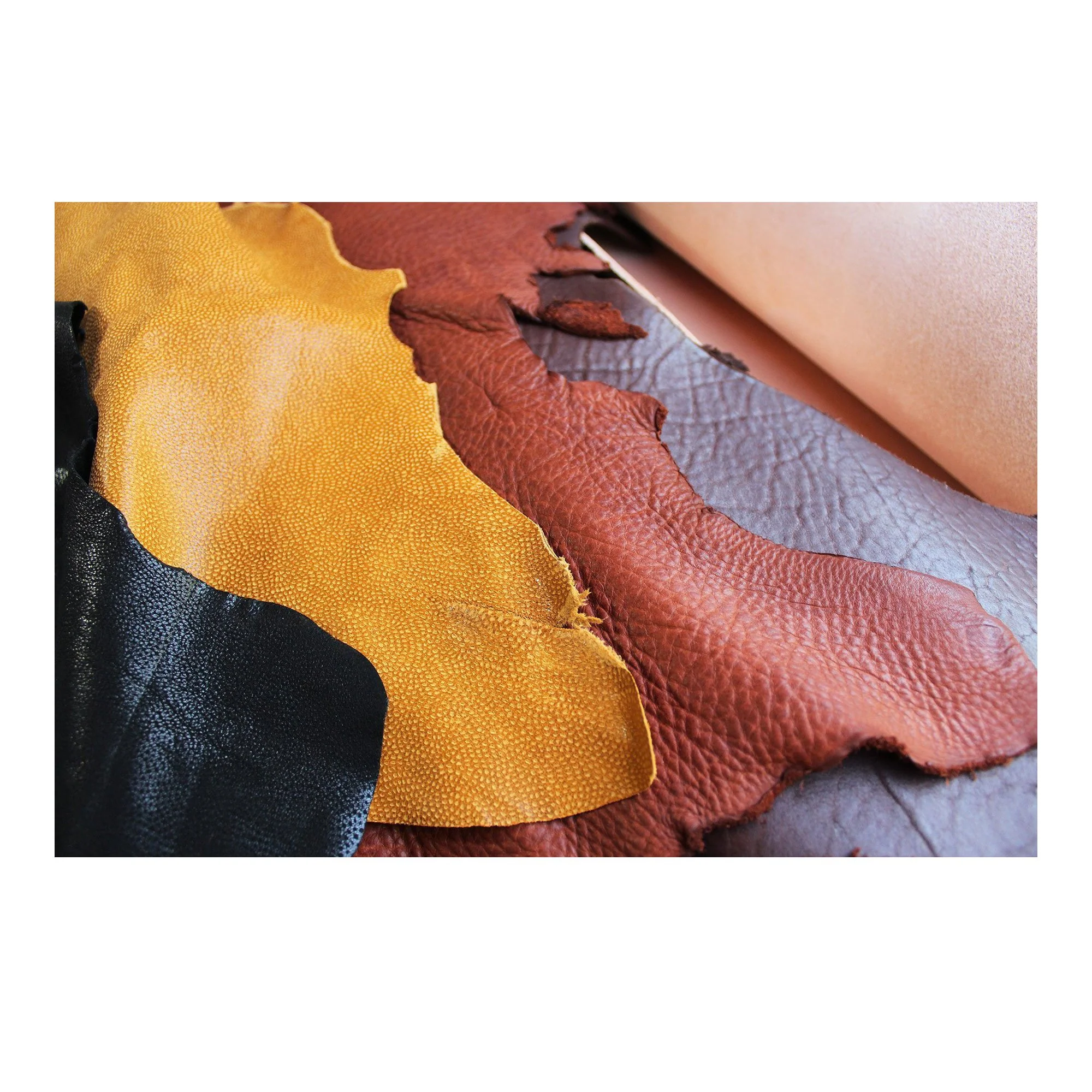 Mono Premium Cabra 🇺🇸 - Image 4