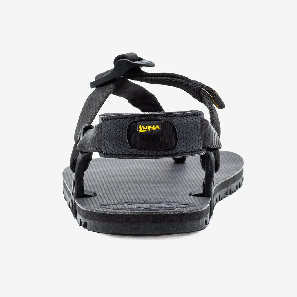 Oso Flaco Winged Edition - Image 10