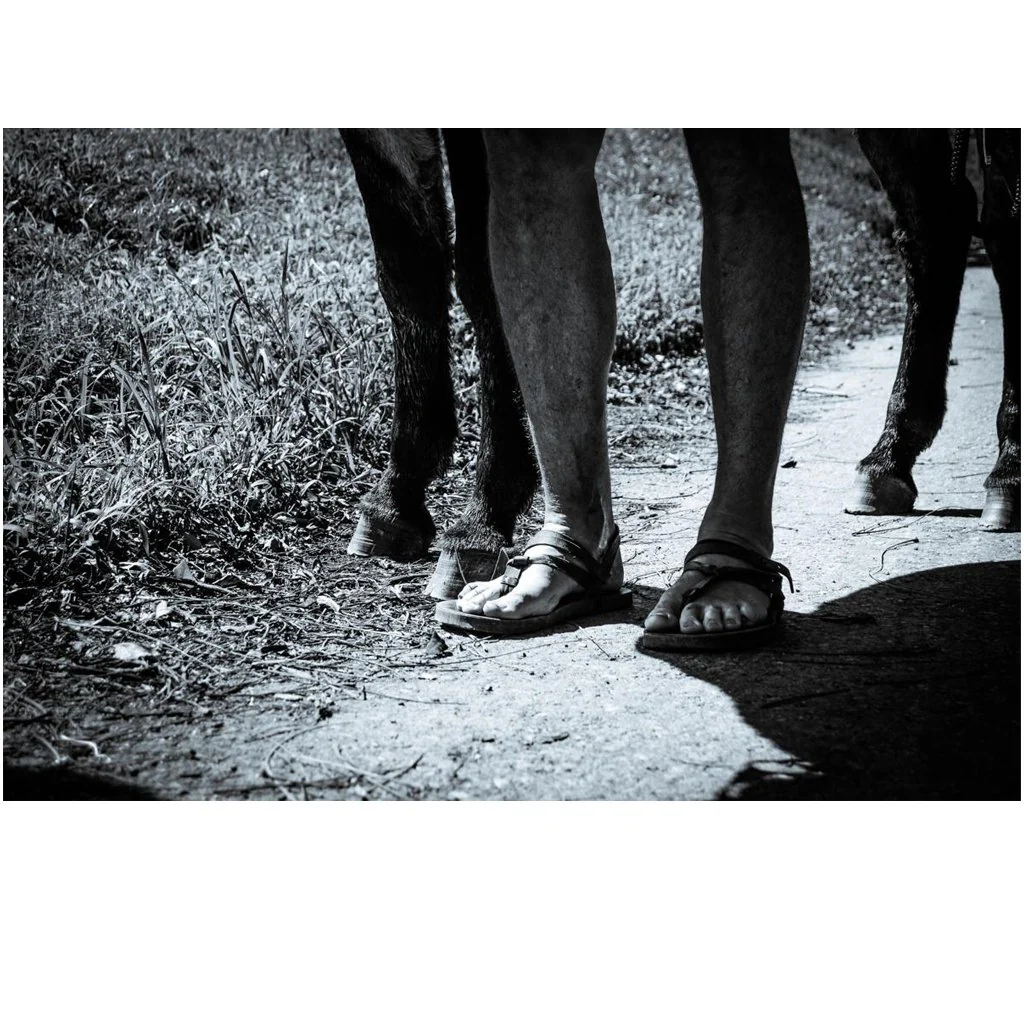 Christopher McDougall Signed! - Running with Sherman: The Donkey with the Heart of a Hero - Image 3