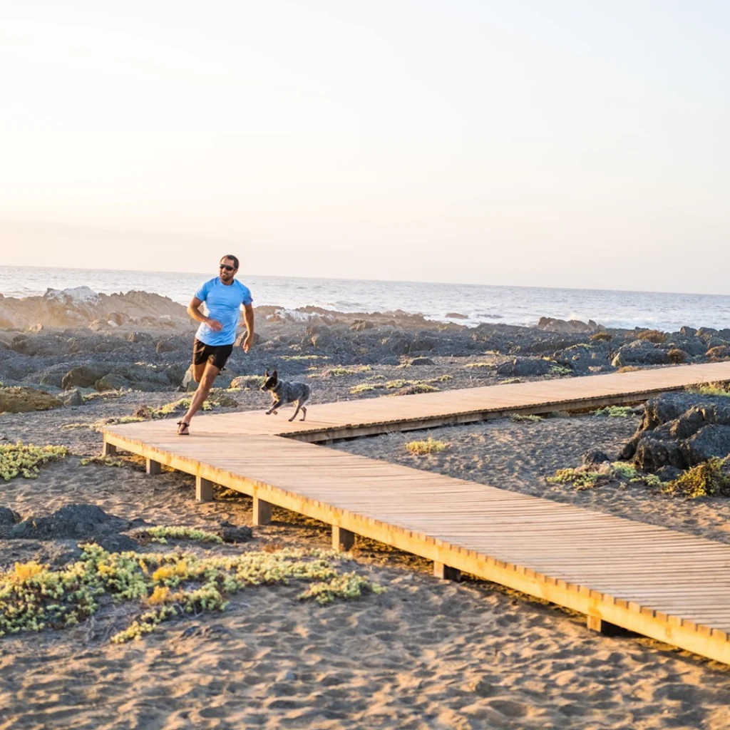 Venado 2.0 - Image 4