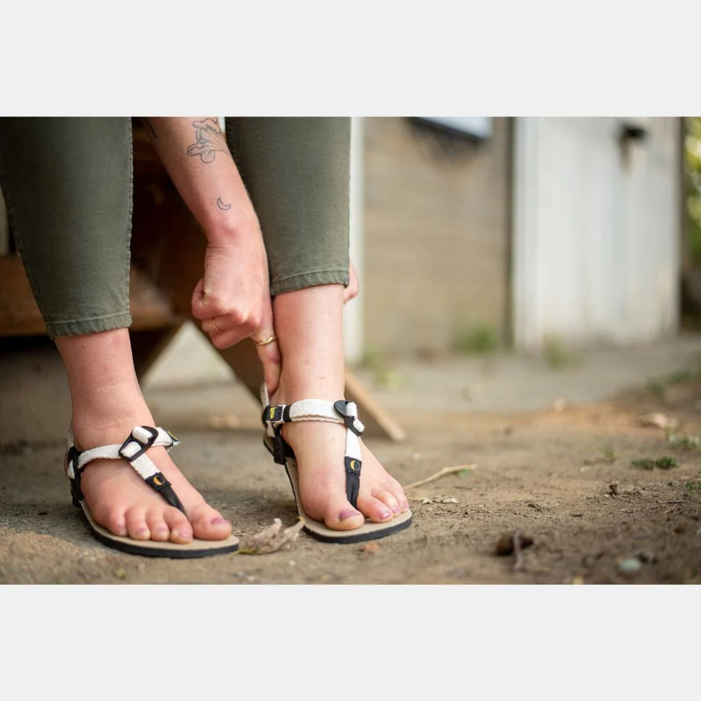 Venado Winged Edition 🇺🇸 - Image 11